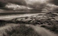 196 - DUNES EN HIVER - FARGE HELENE - france <div